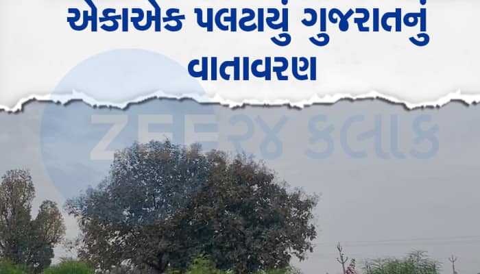 ભર ઉનાળે ગુજરાતમાં વરસાદનું આગમન, આ શહેરોમાં ગાજવીજ અને પવન સાથે તૂટી પડ્યો વરસાદ