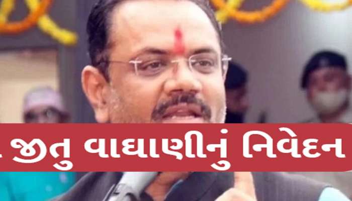 Loksabha Election 2024: વાઘાણીએ કોને ગણાવ્યા બબૂચક, ભાજપના નેતાઓએ બફાટમાં PHD કરી લીધી