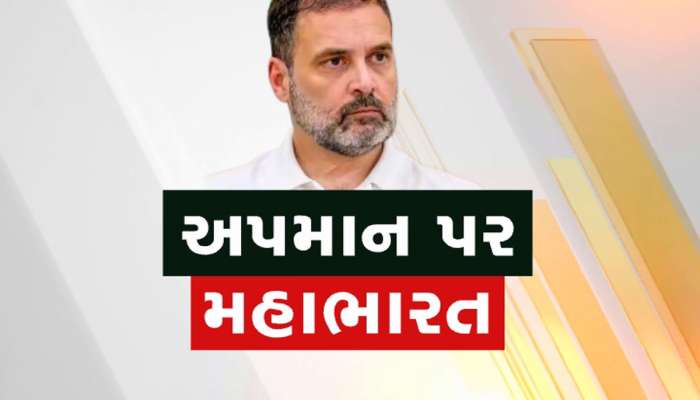 કોંગ્રેસ નેતા રાહુલ ગાંધીના એક નિવેદનથી દેશમાં શરૂ થયું રાજકીય મહાભારત