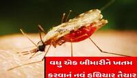 હવે નહીં રહે મેલેરિયાનો ડર, બીમારીને જડમૂળથી ખતમ કરી દેશે આ રસી