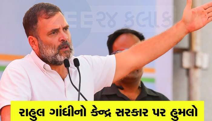 અમારી સરકાર બની તો આર્થિક સર્વે કરાવશે કોંગ્રેસ, ગુજરાતની ધરતી પર બોલ્યા રાહુલ ગાંધી
