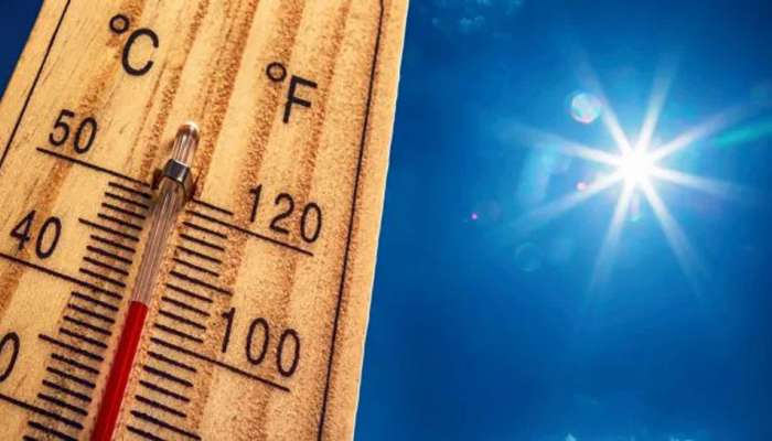 Heatwave Safety Tips: હીટવેવ દરમિયાન પણ રહેવું હોય હેલ્ધી તો આ વાતનું ધ્યાન રાખવું સૌથી જરૂરી