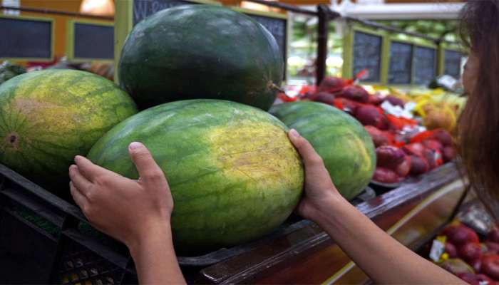 Watermelon: તમે તરબૂચને હાથમાં લઈ કહી દેશો મીઠું અને લાલ છે કે નહીં... ખરીદવા જાવ ત્યારે આ 5 ટીપ્સને ધ્યાનમાં રાખજો