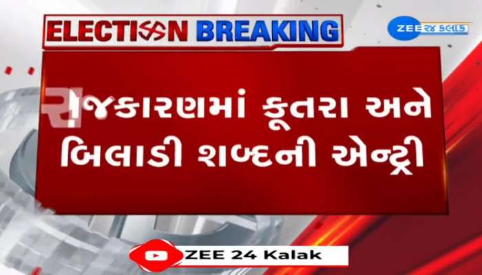 "એક કૂતરો પણ તમારાથી ડરતો નથી": ભરૂચ ભાજપના ઉમેદવાર મનસુખ વસાવાએ ચૈતર વસાવા પર પ્રહાર 