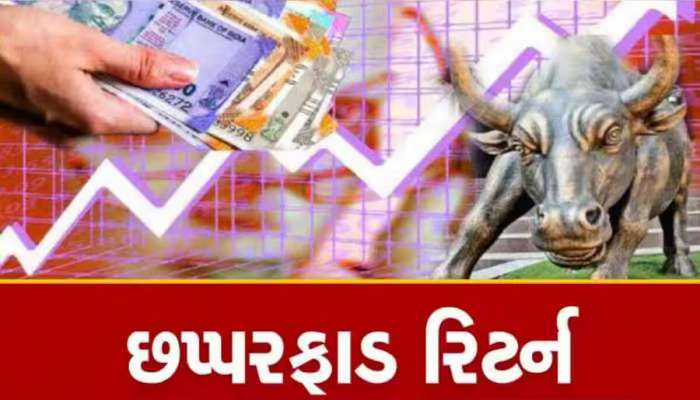 શેર નહી આ છે નોટ છાપવાનું મશીન, 12 મહિનામાં 1 લાખના બનાવી દીધા 20 લાખ
