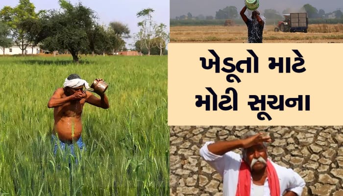 ગુજરાતના ખેડૂતો માટે ખાસ એડવાઈઝરી જાહેર, હીટવેવમાં આટલી બાબતોનું ધ્યાન રાખજો  
