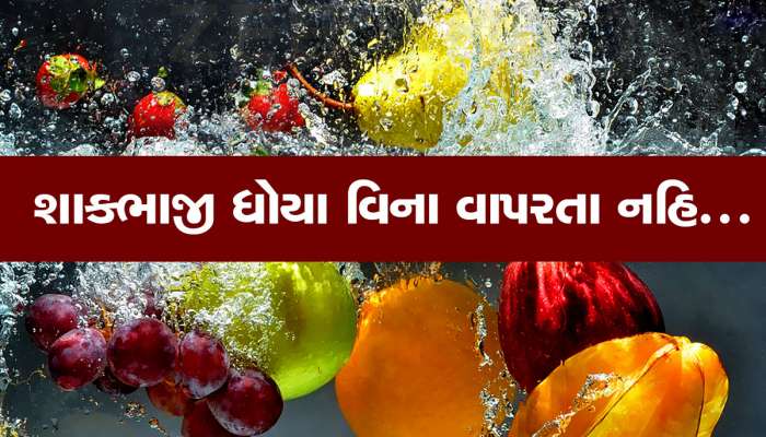 આટલું કરજો નહિ તો ઝેરી બની જશે તમારી શાકભાજી, કૃષિ વિભાગે આપી મહત્વની સલાહ 