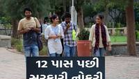 ધોરણ 12 પાસ કર્યા બાદ સરકારી નોકરી જોઈએ છે? ફટાફટ કરજો આ કામ, મળશે મંત્રાલયમાં નોકરી