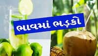 ગરમી વધતા લીંબુ, ફૂદીનો, નારિયેળના ભાવ વધ્યા, શાકભાજીના ભાવમાં પણ ઉછાળો