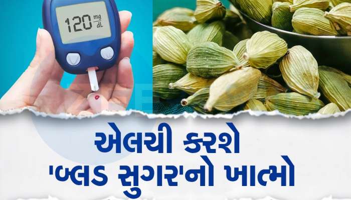 Diabetes: એલચીથી થશે બ્લડ સુગરનો નાશ, જાણો કઈ રીતે કરશો સેવન