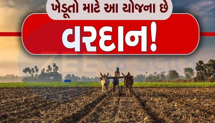 ખેતરમાં ઉગશે રૂપિયાના ઝાડ! ગુજરાતના ખેડૂતોની કિસ્મત ચમકાવી શકે છે આ યોજના