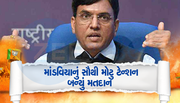 માંડવિયા-પાટીલના સપનાં અધૂરા રહેશે! ગુજરાતમાં ભાજપને સૌથી વધારે ટેન્શન આ બેઠક આપી રહી છે 