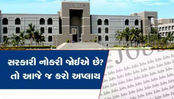 ગુજરાતમાં સરકારી નોકરીની નવી ઓફર, હાઈકોર્ટમાં થવાની છે મોટી ભરતી, અરજી પ્રક્રિયા શરૂ થઈ