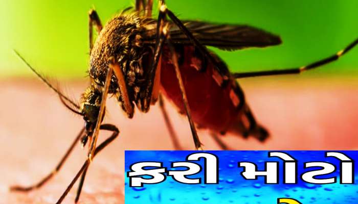 કેરળમાં મચ્છરોના કરડવાથી ફેલાઈ છે જીવલેણ બીમારી! શું ગુજરાતને ખતરો છે?