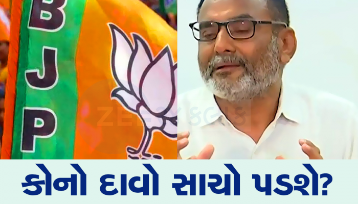 ભાજપ રાજકોટ સિવાય જામનગર પણ હારશે આવો કોણે કર્યો દાવો, તો સામે ભાજપે કહ્યું-25માંથી 25 જીતીશું