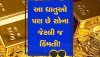 સોનું છોડો! આ ધાતુઓની પણ પુષ્કળ છે ડિમાન્ડ, રોકાણથી ઢગલો ફાયદો થશે