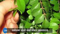 Curry Leaf: સવારે ખાલી પેટ ચાવો મીઠો લીમડો, 4 બીમારીમાં મળશે જોરદાર રાહત