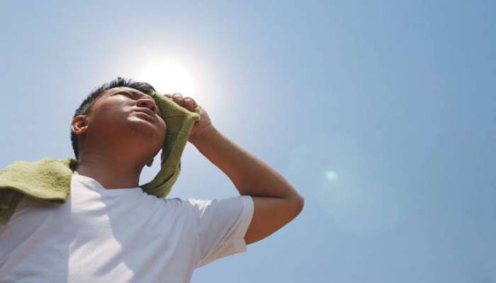 Heatwave:કાળઝાળ ગરમીમાં બ્રેઇન સ્ટ્રોકનું જોખમ વધે છે, આ લક્ષણોને ભુલથી પણ ઇગ્નોર કરતાં નહીં 