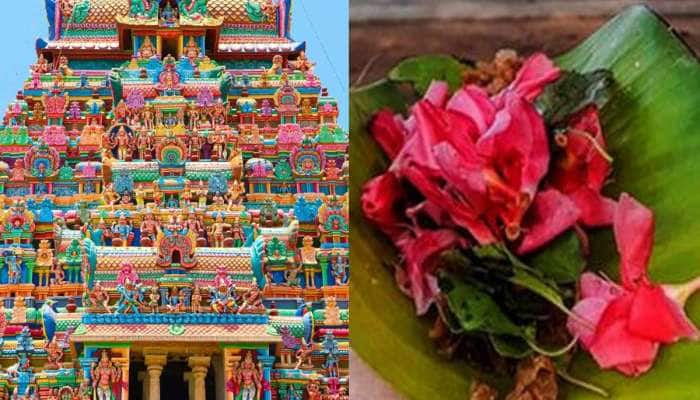 Kerala Temples: કેરલના મંદિરોમાં હવે નહી ચઢે આ ફૂલ, બની રહ્યા હતા મોતનું કારણ