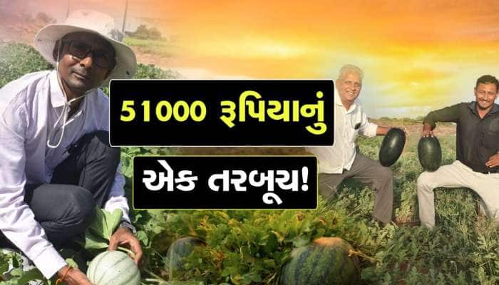 51000 રૂપિયાનું એક તરબૂચ! ગુજરાતના આ ખેડૂતે ઈતિહાસ રચ્યો, એક લાખનું કામ 1 હજારમાં કર્યું