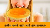દરરોજ સવારે ટેટી ખાશો તો રહેશો તાજામાજા, બિમારીઓ આસપાસ પણ નહી ફરકે