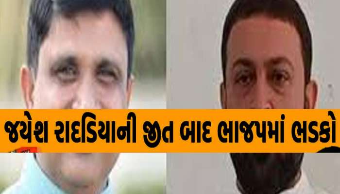 મેં કોઈ પાર્ટી વિરુદ્ધ કામ કર્યું નથી, જાણો રાદડિયાએ કયા કયા નેતાને ઝાટકી લીધા; વધી મુશ્કેલી 