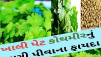ગરમીમાં કોથમીરનું પાણી પીવાથી થાય છે કયા કયા ફાયદા, જાણો એક ક્લિક પર