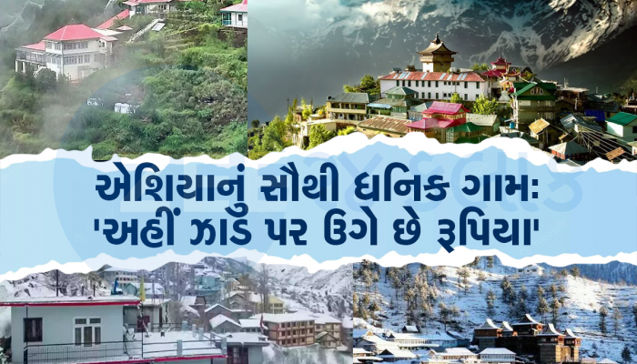 Agriculture News: અહીં ખેડૂતોના ત્યાં ટ્રેકટર નહી પણ રોયલ ગાડીઓ અને આલીશાન ઘર છે, દરેક ખેડૂત કરે 80 લાખની કમાણી