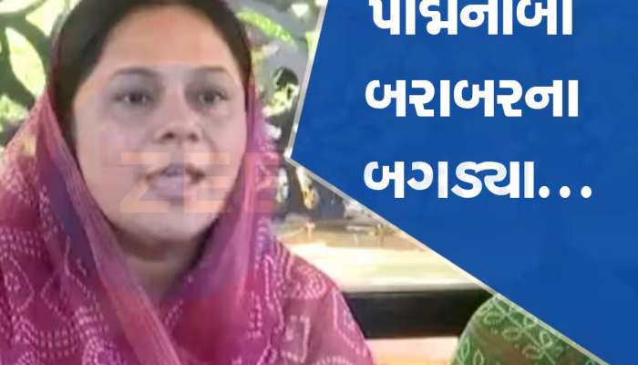 પદ્મિનીબા ફરી ભડક્યાં : પાંચ તત્વોનું નામ લઈને કહ્યું, આ લોકોએ આંદોલનની પથારી ફેરવી નાંખી  
