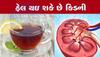 Kidney નું 'કલ્યાણ' કરી નાખશે Black Tea? ઉંટ કાઢવા જતાં બકરું પેસી જશે, જાણી લો નુકસાન