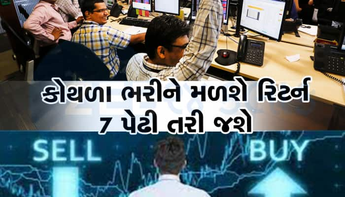 Top-5 Stocks: 1 વર્ષ માટે ખરીદીને ભૂલી આ 5 શેર, વેચવા કાઢશો ત્યારે થઇ જશો માલામાલ