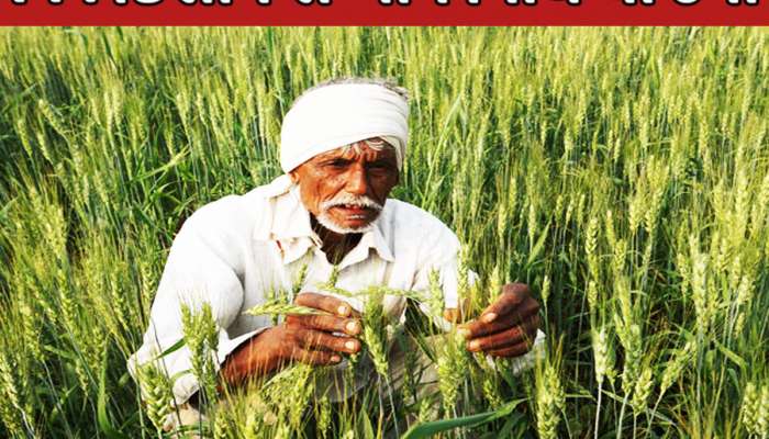 PM Kisan Yojana: શું પિતા-પુત્ર બન્નેને મળશે કિસાન સન્માન નિધિનો લાભ?