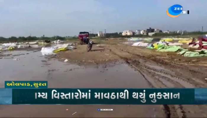 સુરતના ગ્રામ્ય વિસ્તારોમાં માવઠાથી થયું નુકસાન, સર્વે કરાવી વળતર આપવાની ખેડૂતોએ કરી માંગ