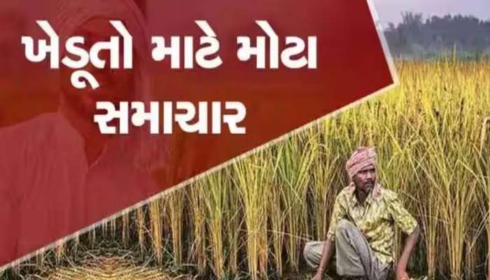 છૂટ્યા આદેશ! ગુજરાતમાં વરસાદને કારણે થયેલા નુકસાનનો સર્વે થશે, આ તારીખ પછી આવશે રિપોર્ટ!