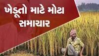 છૂટ્યા આદેશ! ગુજરાતમાં વરસાદને કારણે થયેલા નુકસાનનો સર્વે થશે, આ તારીખ પછી રિપોર્ટ