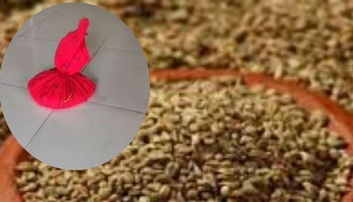 Ajwain Ki Potli: ઘરની આ દિશામાં રાખી દો આ પોટલી, દિવસ-રાત વધતી રહેશે ધનની આવક, ગ્રહ દોષ થશે દુર