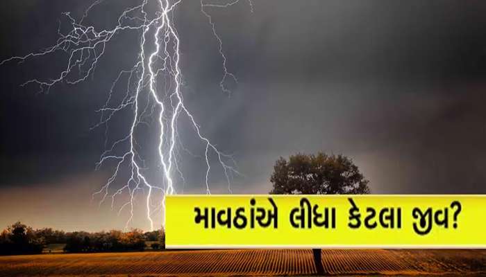 ગુજરાતમાં બરબાદીનો વરસાદ, રાણસીકીમાં સૌથી વધુ, જાણો વીજળી પડવાથી ક્યા કેટલા મોત?