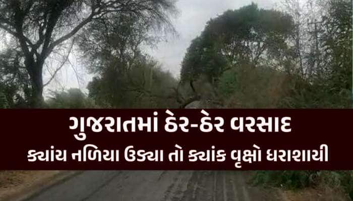 ગુજરાતના અનેક જિલ્લામાં મિની વાવાઝોડું ફૂંકાયું! અનેક સ્થળોએ વૃક્ષો- વીજપોલ ધરાશાયી