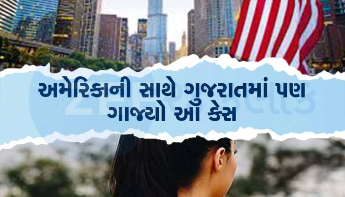 ગુજરાતી ‘પટલાણી’ને અમેરિકામાં થઈ શકે છે 30 વર્ષની જેલ, ફ્લોરિડામાં મોટા કેસમાં ભરાઈ