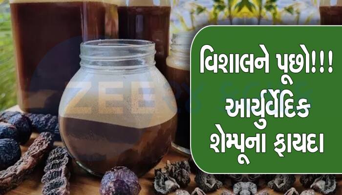 શિકાકાઇ, આંબળા, અરીઠાથી બનાવો આ 'દેસી ઇન્ડીયન શેમ્પૂ', ઔષધિય ગુણોથી ભરપૂર