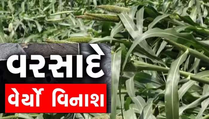 ગુજરાતમાં વરસાદે ક્યાં કેવો વિનાશ વેર્યો? તારાજીના દ્રશ્યો તમારું હૈયું વલોવી નાંખશે