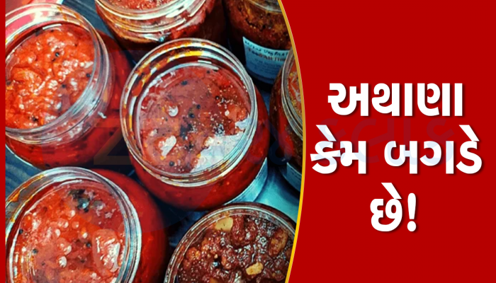 અથાણામાં ફૂગ આવે તો ફેંકી ન દેતા, આ રીતે સાચવશો તો ક્યારેય નહિ બગડે