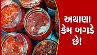 અથાણામાં ફૂગ આવે તો ફેંકી ન દેતા, આ રીતે સાચવશો તો ક્યારેય નહિ બગડે