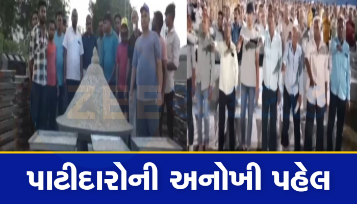 વિદેશમાં વસતા પાટીદારો માટે સમાજ કરશે આ મોટું કામ, પાટણમાં ફરી એક થઈને લેવાયો સંકલ્પ