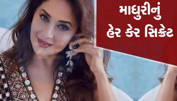 Hair Care: માધુરીએ આ 'જાદુઈ તેલ'થી મેળવ્યો ખરતા વાળની સમસ્યાથી છૂટકારો, તમે પણ ઘરે બનાવી શકો