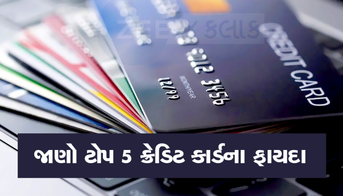 Summer Holidays: જો તમે ફરવાના શોખીન છો તો આ 5 ક્રેડિટ કાર્ડનો કરો ઉપયોગ, રૂપિયા બચશે અને ફાઈવસ્ટાર સુવિધાઓ મળશે