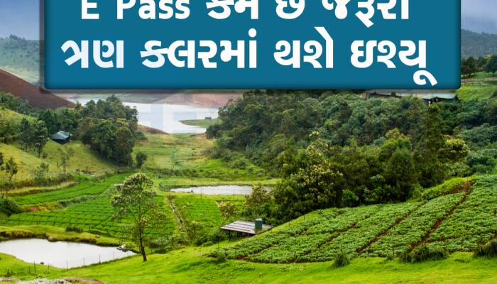 વેંત છેડા આ Hill Station પર ફરવા જવા માટે જોઇશે E-pass! જાણો કેવી રીત કરશો Apply