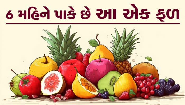 આ ફળને પાકતા લાગે છે 6 મહિના, ઔષધીય ગુણોથી છે ભરપૂર...