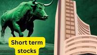 રેકોર્ડ હાઈ બજારમાં ખરીદો આ 2 Stocks, શોર્ટ ટર્મમાં કરાવશે કમાણી