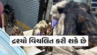 આ દ્રશ્યો તમને કરી શકે છે વિચલિત! રાજકોટમાં 27 લોકોની દર્દનાક ચીસોથી વાતાવરણ ગમગીન